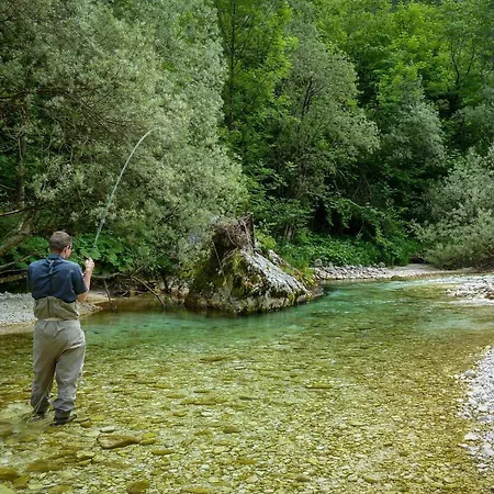 Wooden Kalanka In Pristine Nature - Happy