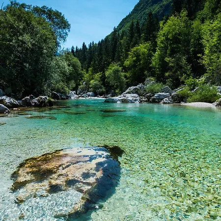 샬레 Wooden Kalanka In Pristine Nature - Happy *